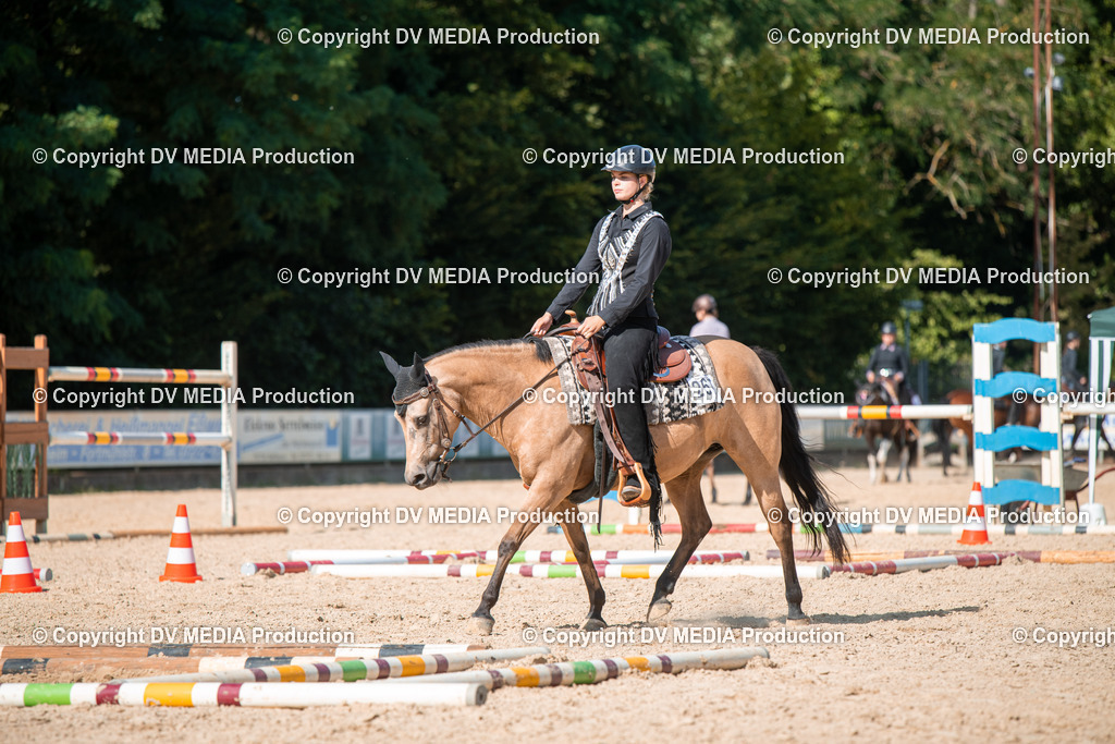 EWP_6940 | dv-media-shop - Realisiert mit Pictrs.com