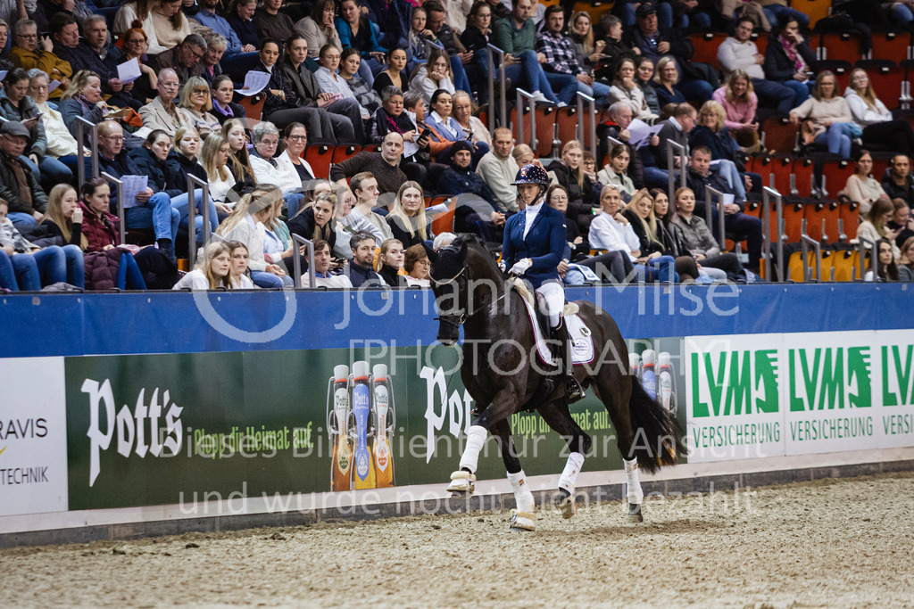 250108_Muenster_Hengstpräsentation-161 | Deine schönsten Turniermomente als professionelle Fotos! Entdecke hochwertige Pferdesport-Fotografie im Online-Shop. Jetzt Fotos finden & bestellen!