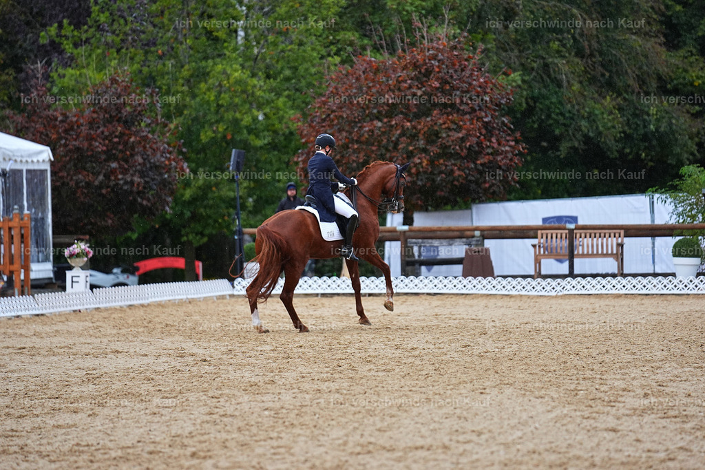 8_1-223-Klasse S_  -Marixx-4307 | working equitationturnier fotograf videograf stoibphotography marixx film working equitation deutschland reitsport turnierfotografie eventfotografie equestrian events