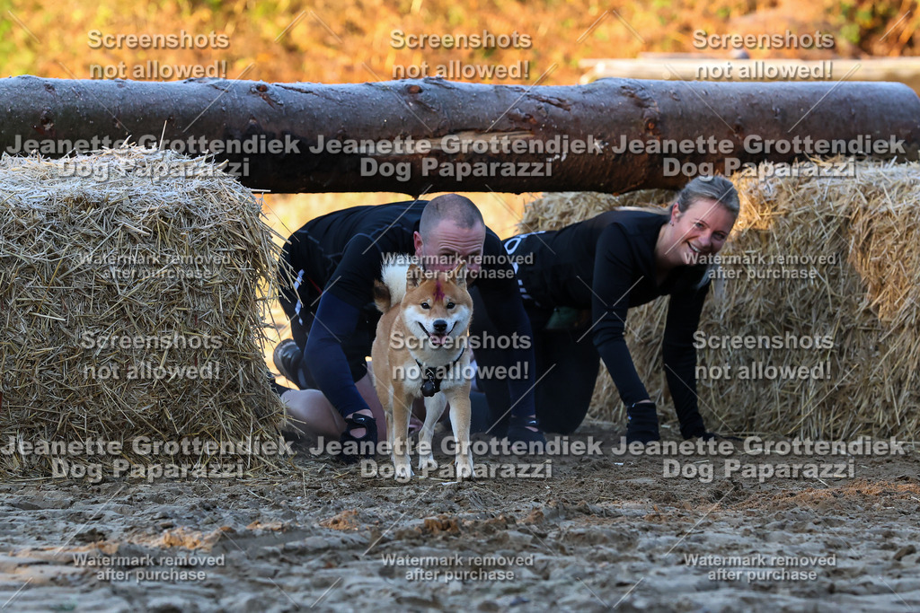 Dog Paparazzi - Strongdog 10-25-513 | Dog Paparazzi Jeanette Grottendiek Fotografie & Videografie - Realisiert mit Pictrs.com