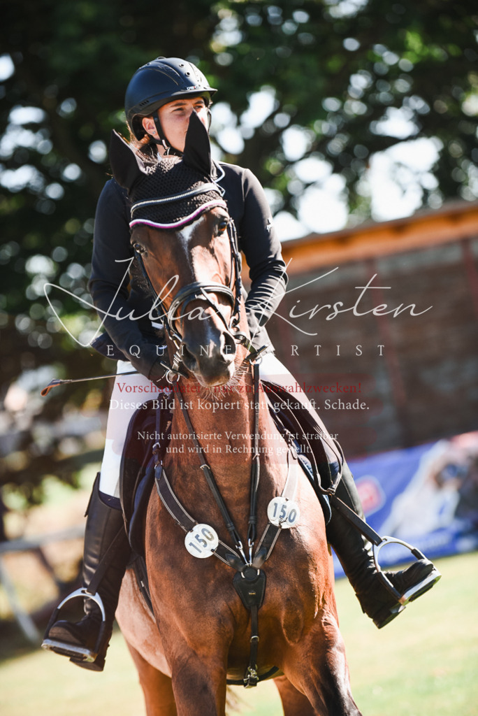 DSC_2370 | Pferde- und Turnierfotografie in Westsachsen. Pferdeportraits, Auftragszeichnungen und intuitive Kunst.