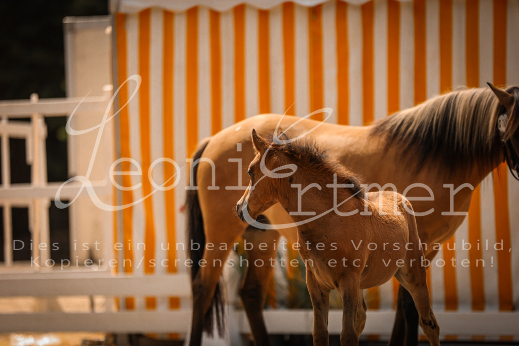 02.DoSR00092 | Leoni Ertmer Photography - Realisiert mit Pictrs.com