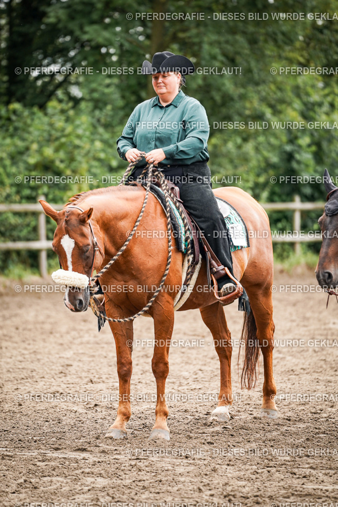 DSC04830 | Pferdegrafie