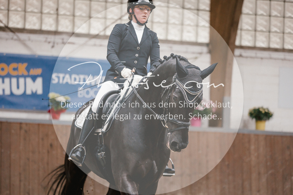 3I6A6312 | Stimmungsvolle Portraits und Reitsportfotografie im Ruhrgebiet und im Münsterland.

Pferdefotografie, Hundefotografie, Tierfotografie, Reportagen, Portraits von Tier und Mensch, Turnierfotografie in Bochum, Recklinghausen, Marl, Haltern am See, Dülmen.. - Realisiert mit Pictrs.com