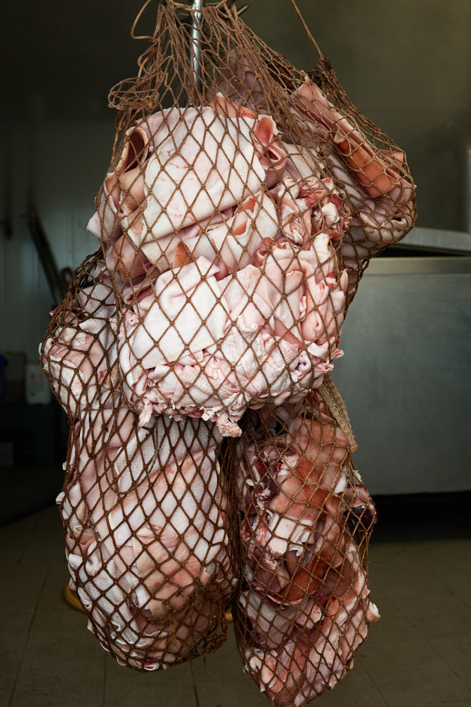 Fleischerei Dormayer | Langenzersdorf, Austria - February 12, 2019: Fleischerei Dormayer - Blutwurst Herstellung; ein Netz mit Schweineschwarten vor dem kochen. - Realisiert mit Pictrs.com