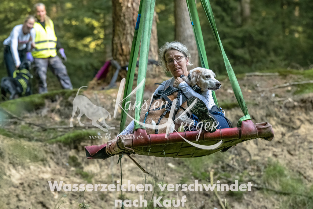 0916_ZZ90771-Bearbeitet | kk-dogfotos