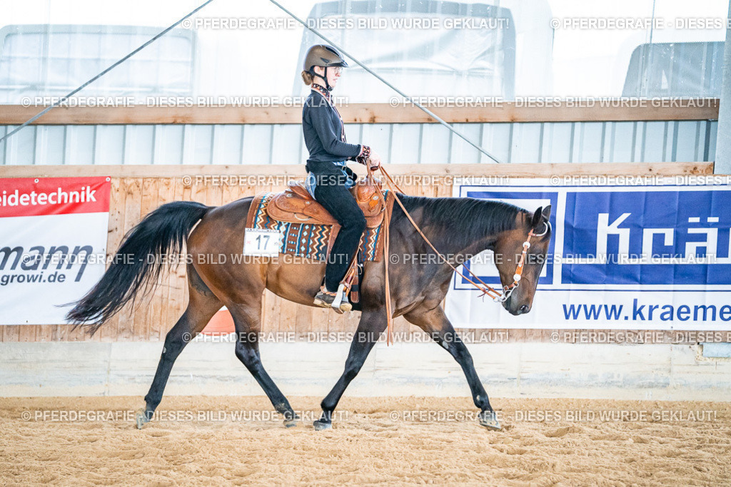 DSC02663 | Pferdegrafie