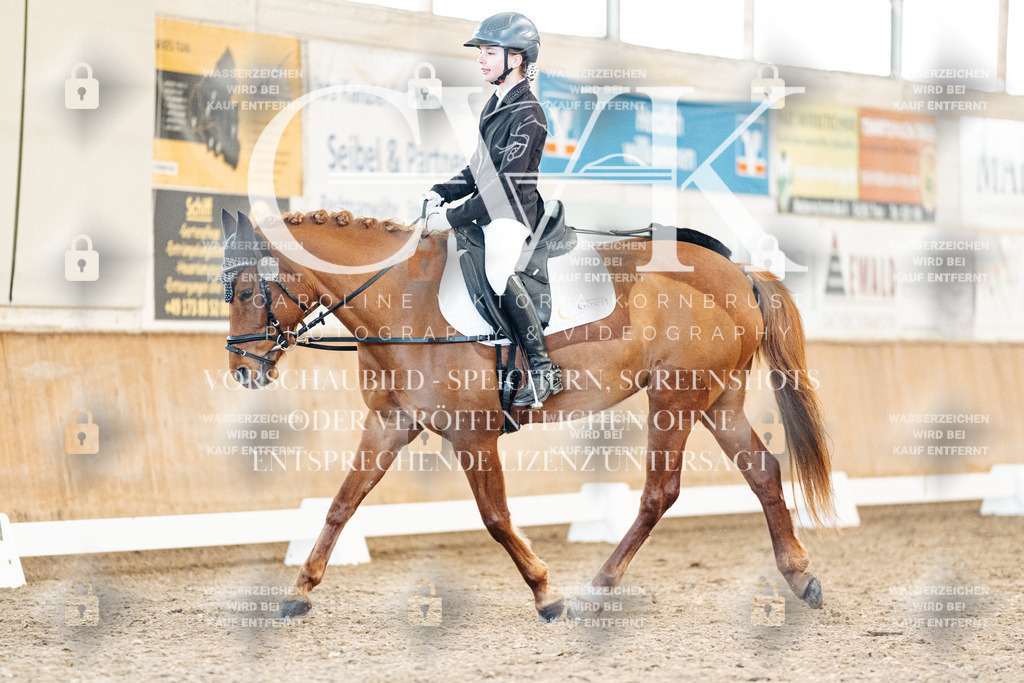 CK907923 | Turnierfotografie Pferdefotografie Trier Rheinland-Pfalz Pferdesport Reitsport Tierfotografie Sportfotografie Pferdevideo Pferdevideografie Equestrianvideography equestrianphotography  - Realisiert mit Pictrs.com