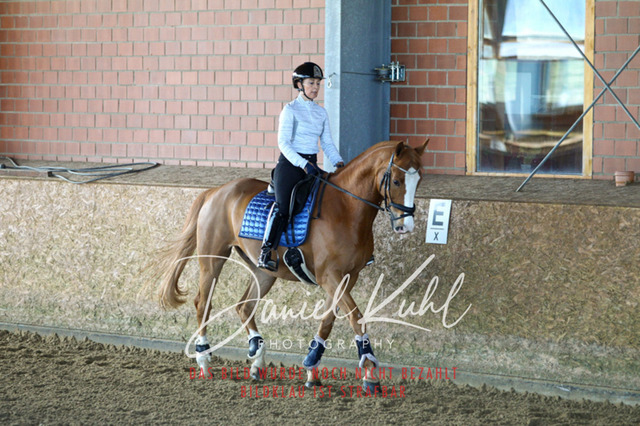 DKP42195 | Turniersportfotografie; Pferdefotografie; Dressurfotografie