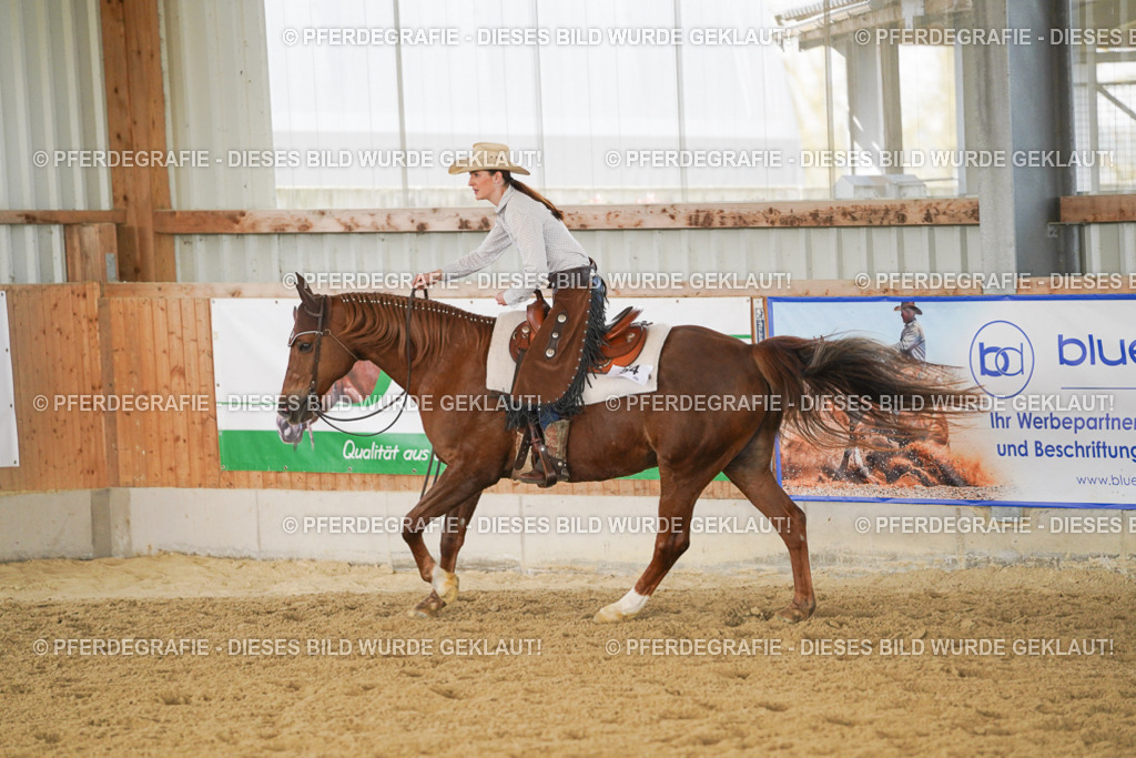 DSC01347 | Pferdegrafie