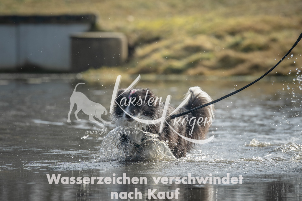1042_ZZ99245 | kk-dogfotos