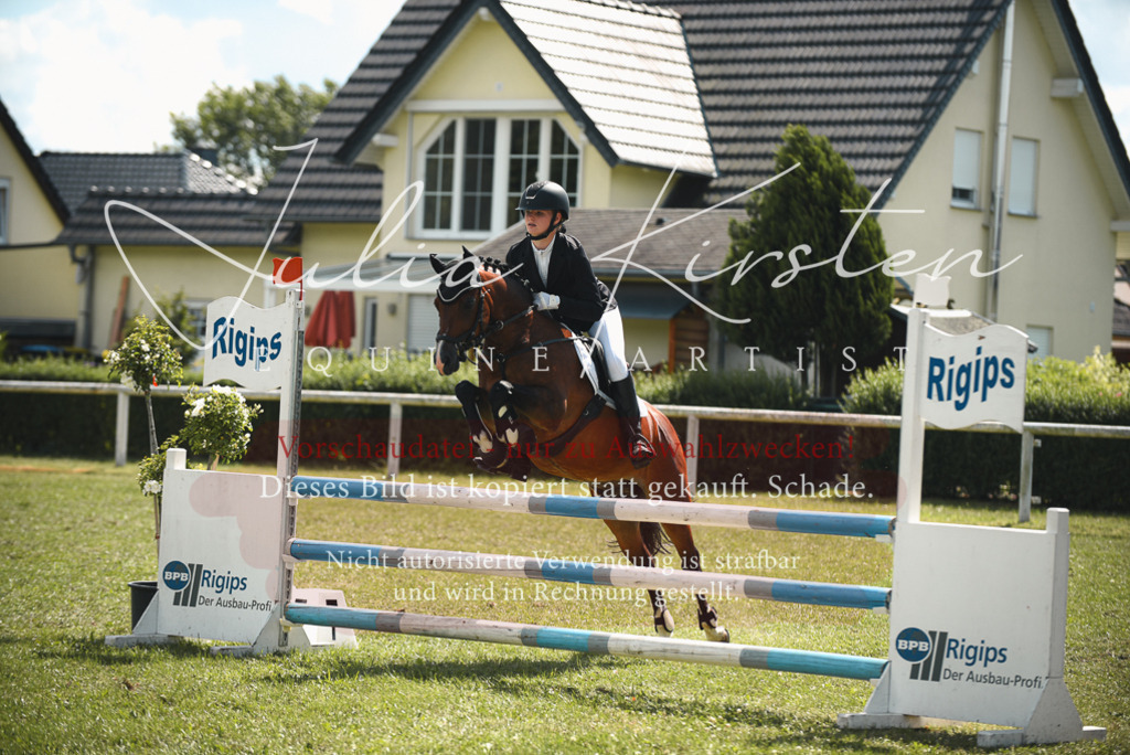 DSC_6801 | Pferde- und Turnierfotografie in Westsachsen. Pferdeportraits, Auftragszeichnungen und intuitive Kunst.