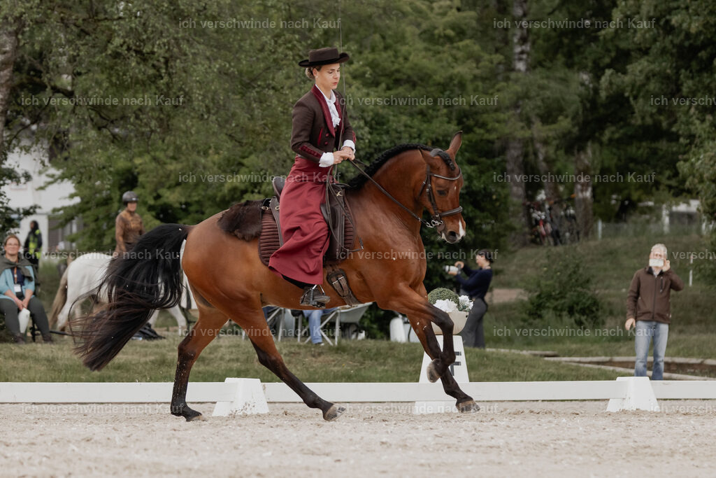 WE_DR_Stoib_343_PI2025_204 | Pferd International München 2025