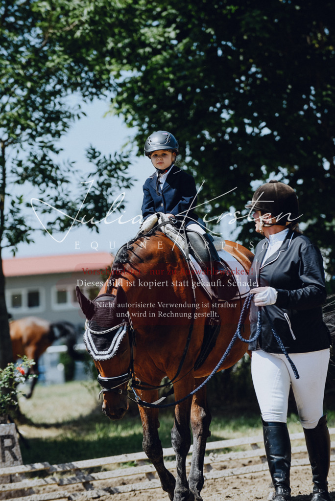 DSC_2500 | Pferde- und Turnierfotografie in Westsachsen. Pferdeportraits, Auftragszeichnungen und intuitive Kunst.