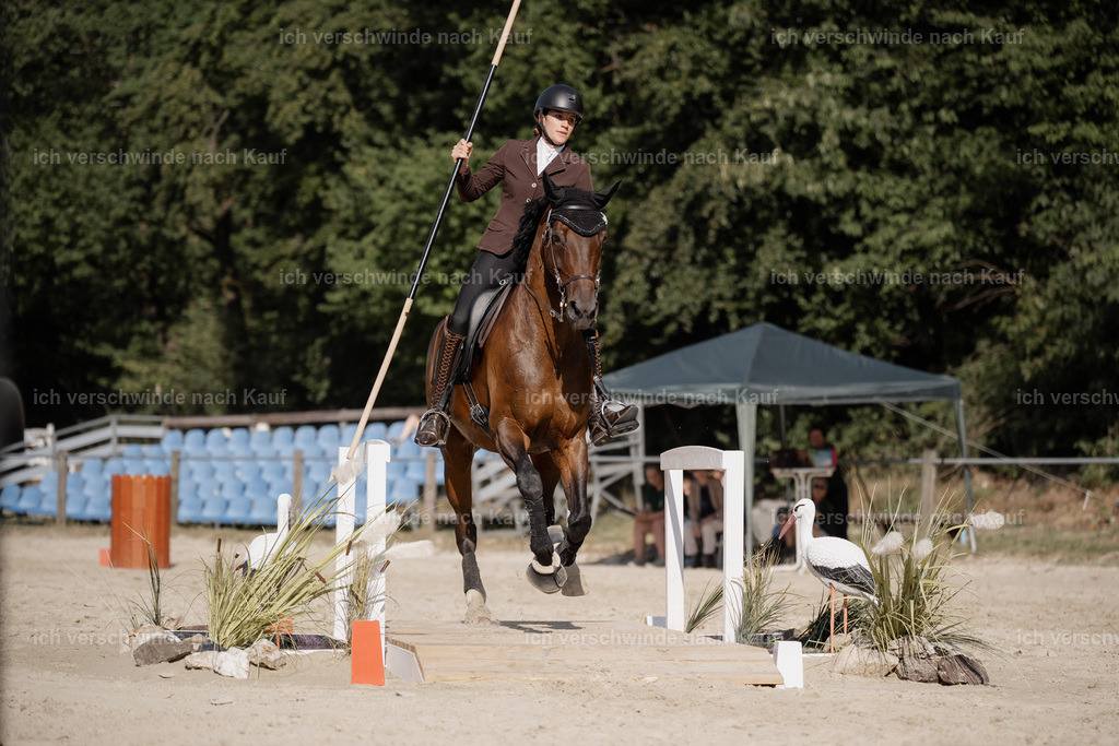 WS_SP_111_Stoibphotography_SO11784 | working equitationturnier fotograf videograf stoibphotography marixx film working equitation deutschland reitsport turnierfotografie eventfotografie equestrian events
