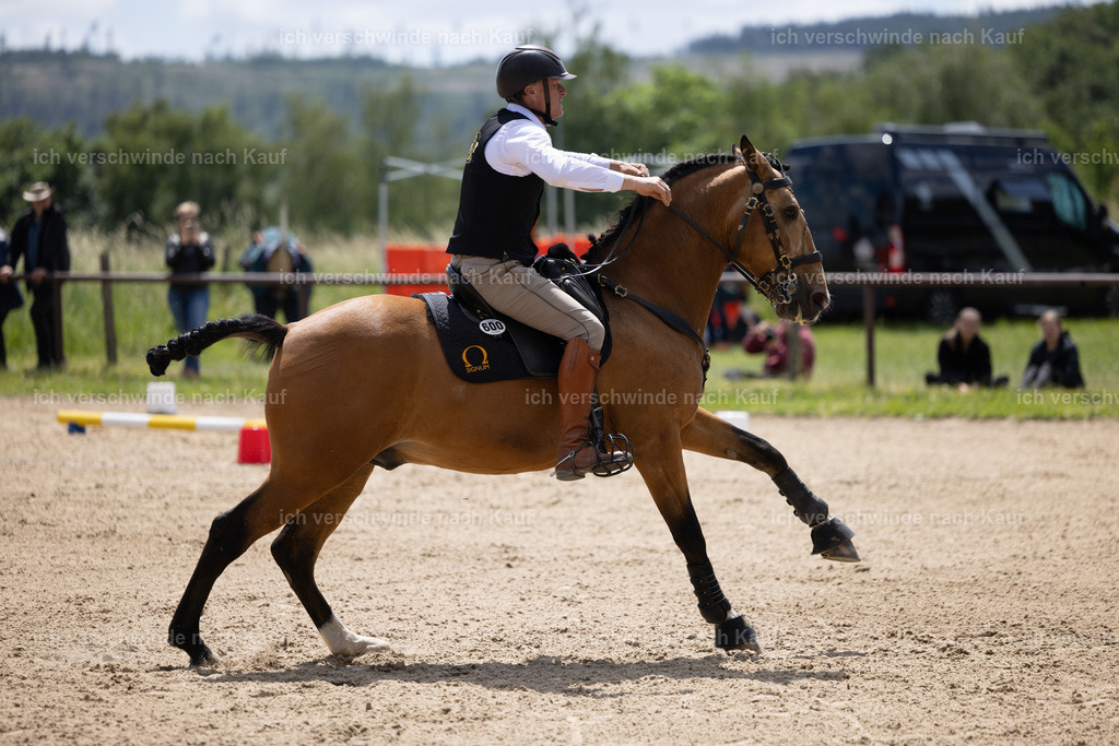 Masterclass_stoibphotography_C2_C8743.CR3 | working equitationturnier fotograf videograf stoibphotography marixx film working equitation deutschland reitsport turnierfotografie eventfotografie equestrian events