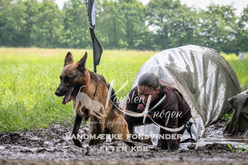 1141_ZZ93863 | kk-dogfotos