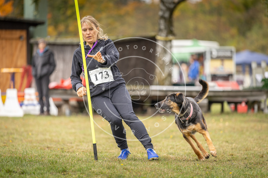 Pfotenfotografie_DV3A5411 | Hundefotografie, Tierfotograf, Pfotenfotografie, Fotoshooting Hund, Hunde Portrait, Hundesport, Hundeportraits, Heideshooting, Hunde, Sportfotograf, Hundefotograf, Turnierhundsport, THS,  - Realisiert mit Pictrs.com