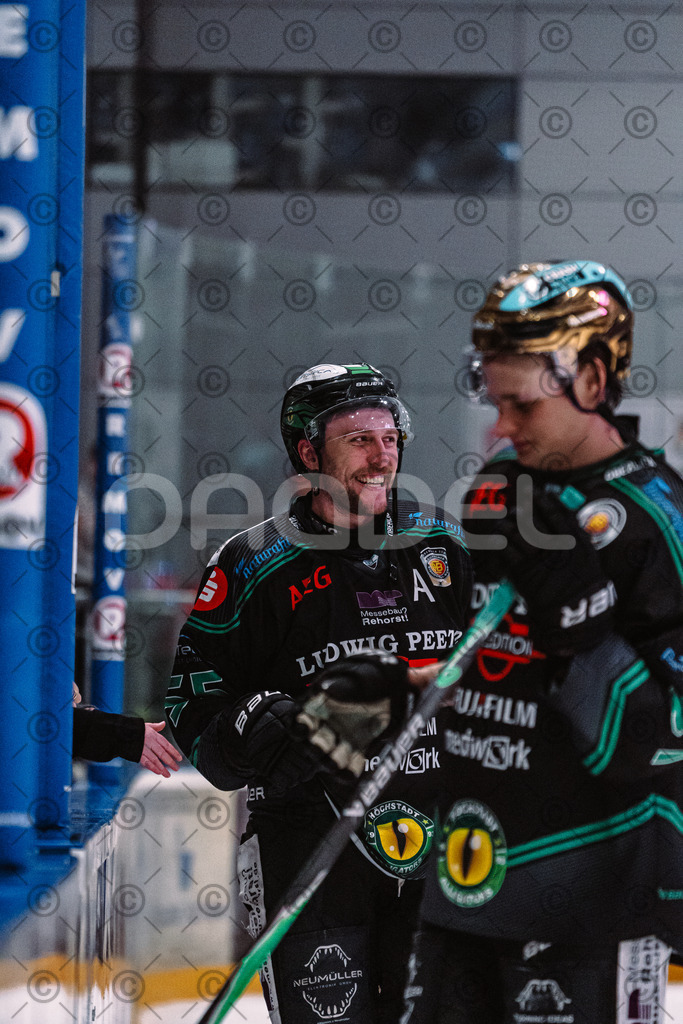 Alligators_vs_Selb_27_02_2026-60 | Höchstadt Alligators Fotogalerie: Eishockey-Action aus Franken. Professionelle Spielfotos, Portraits & Stadionbilder zum Download. Jetzt entdecken! - Realisiert mit Pictrs.com