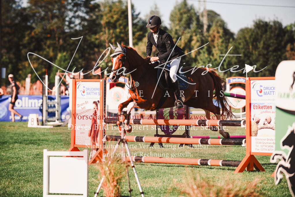 DSC_2170 | Pferde- und Turnierfotografie in Westsachsen. Pferdeportraits, Auftragszeichnungen und intuitive Kunst.