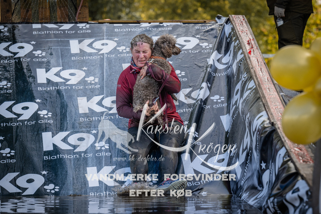 1527_ZZ94612 | kk-dogfotos