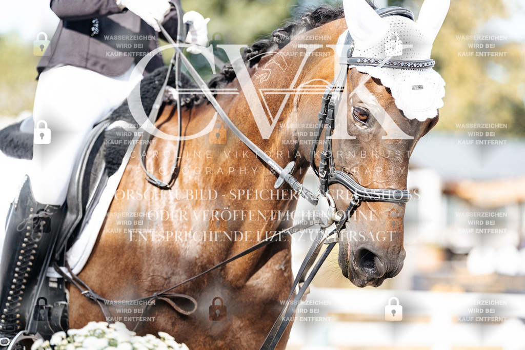 CK905319 | Turnierfotografie Pferdefotografie Trier Rheinland-Pfalz Pferdesport Reitsport Tierfotografie Sportfotografie Pferdevideo Pferdevideografie Equestrianvideography equestrianphotography  - Realisiert mit Pictrs.com