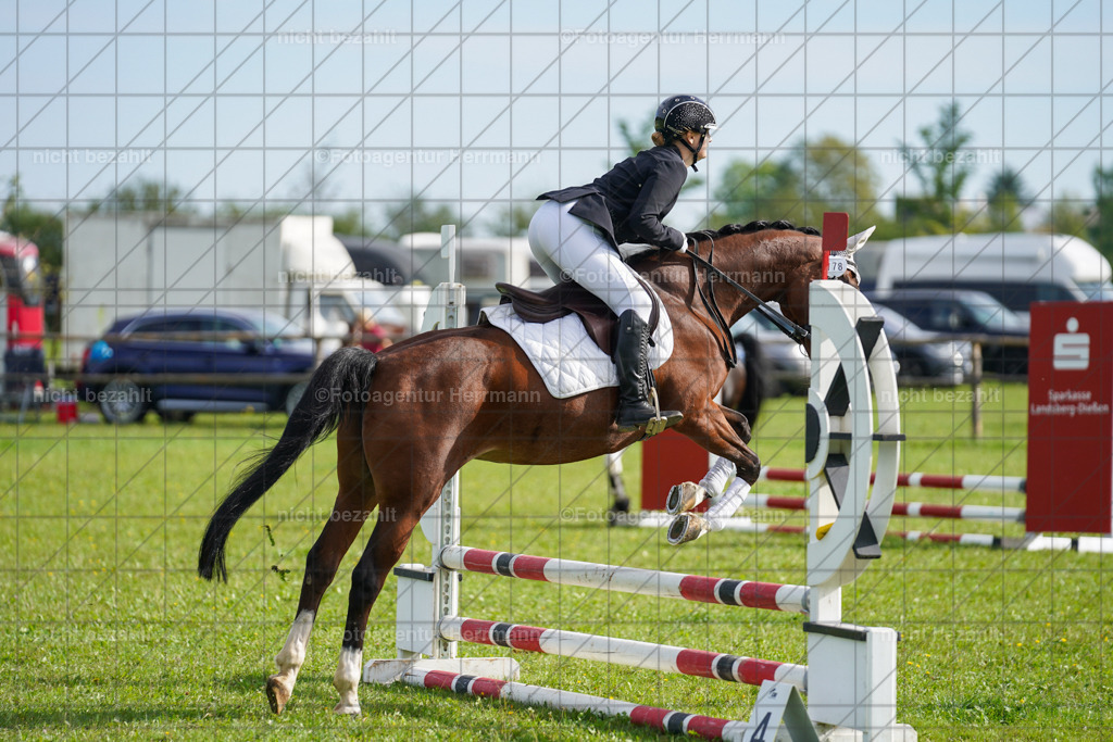 20230917-FAH09112 | Landsberg am Lech, 2023, Kaufbeuren, Kempten, Allgäu, Turnierfotografen Bayern, Fotoagentur Herrmann, Turnierbilder, Reitsport Fotos, Pferdefotograf, Augsburg, Bad Tölz, Dachau, Karlsfeld, Memmingen, Buchloe, Schwabmünchen