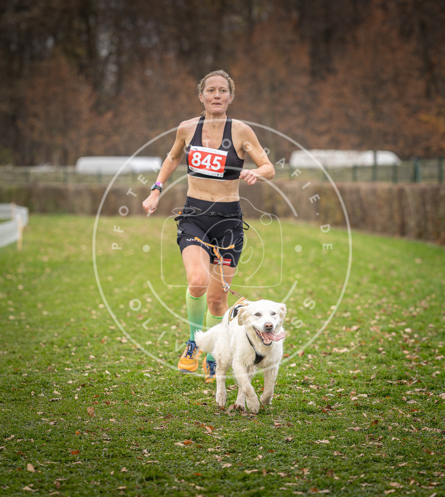 CaniXpix_DV3A6480 | Hundefotografie, Tierfotograf, Pfotenfotografie, Fotoshooting Hund, Hunde Portrait, Hundesport, Hundeportraits, Heideshooting, Hunde, Sportfotograf, Hundefotograf, Turnierhundsport, THS,  - Realisiert mit Pictrs.com