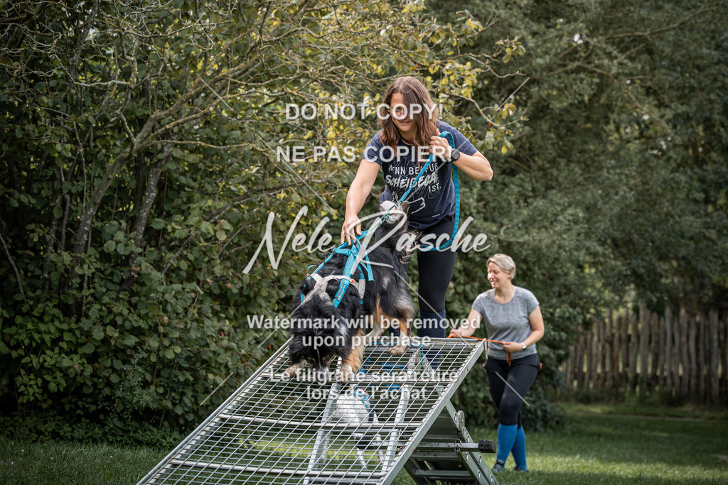 nelerasche_SoLauf_176 | nelerasche