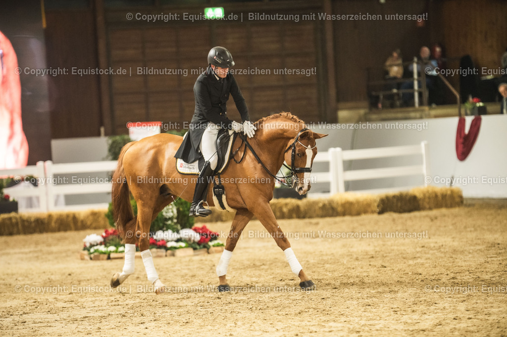 20240302_Hengstvorstellung_Marbach_TOMsPiC_0923 | equistock
