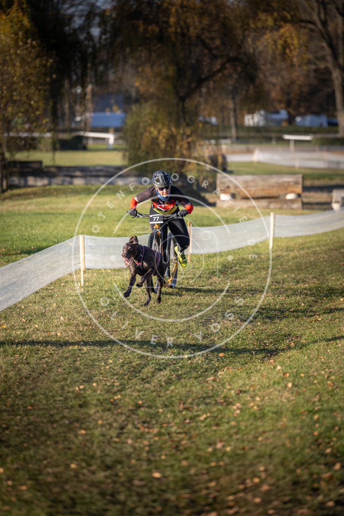 CaniXpix_DV3A1432 | Hundefotografie, Tierfotograf, Pfotenfotografie, Fotoshooting Hund, Hunde Portrait, Hundesport, Hundeportraits, Heideshooting, Hunde, Sportfotograf, Hundefotograf, Turnierhundsport, THS,  - Realisiert mit Pictrs.com