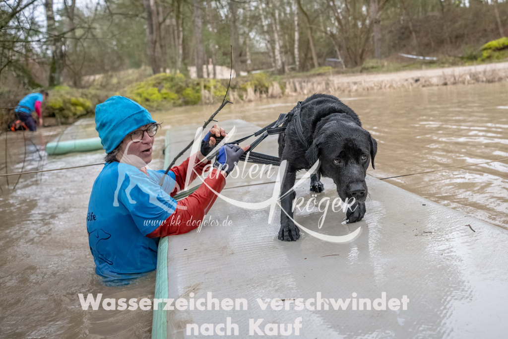 0917_ZZ90504-Bearbeitet | kk-dogfotos