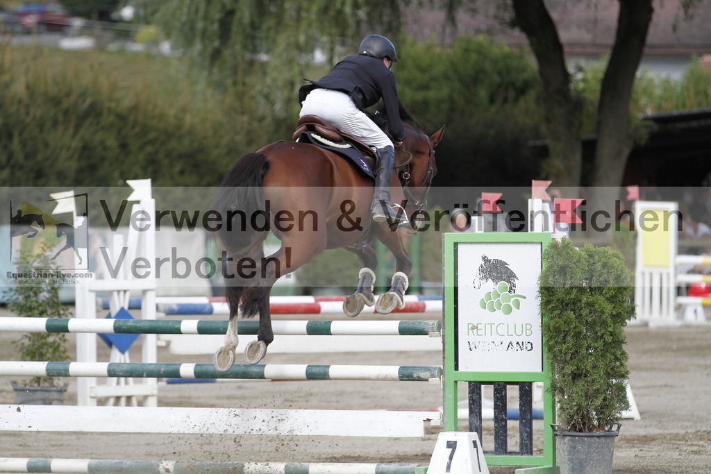 _MG_3571 | equestrian-live-com