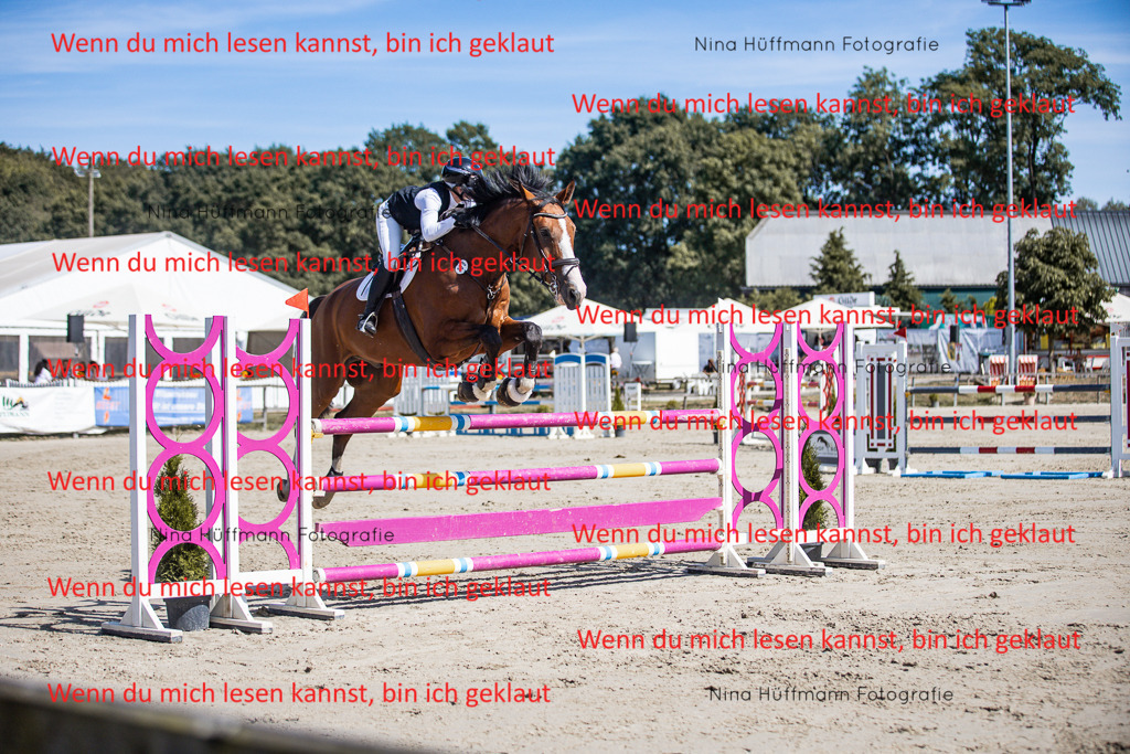 BK1A6867 | Turnierbilder Turnierfotos Nina Hüffmann Turnierfotografie Pferdefotografie Tierzeichnung Haustierzeichnung Pferdezeichnung Hundezeichnung Videograf  - Realisiert mit Pictrs.com