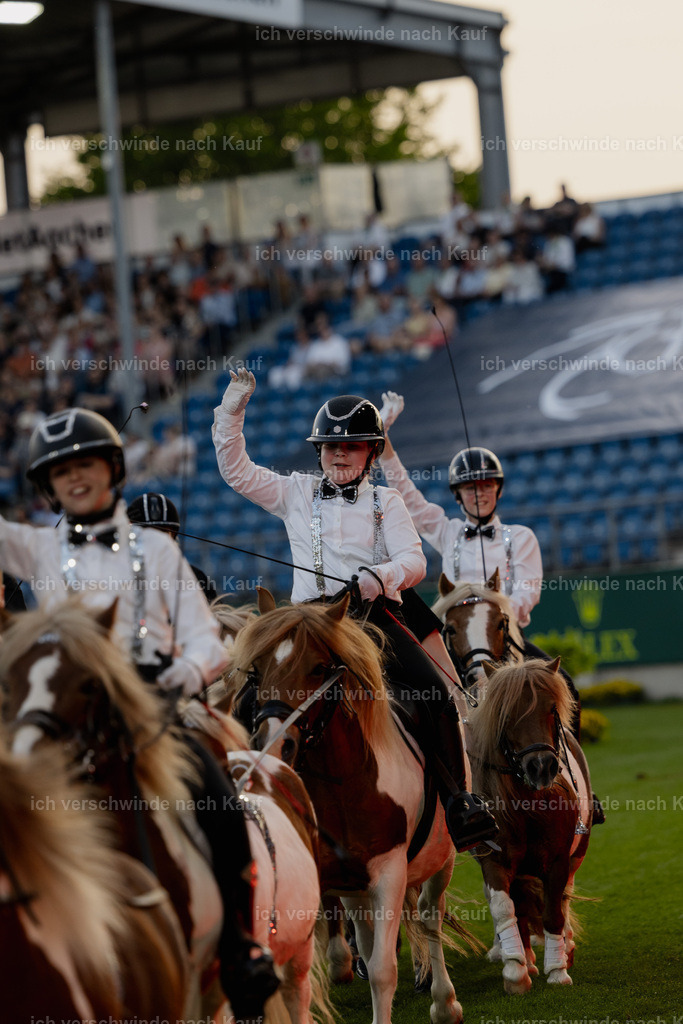 TSCHIO26_PferdundSinfonie_StoibphotographyTSCHIO26_Pferd-Sinfonie_Stoibphotography_AM10871.CR3.jpg | working equitationturnier fotograf videograf stoibphotography marixx film working equitation deutschland reitsport turnierfotografie eventfotografie equestrian events