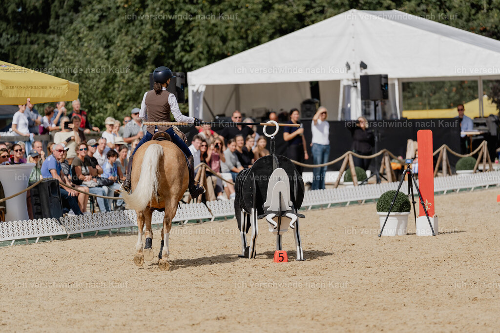Nici11_FHC2025-2919 | working equitationturnier fotograf videograf stoibphotography marixx film working equitation deutschland reitsport turnierfotografie eventfotografie equestrian events
