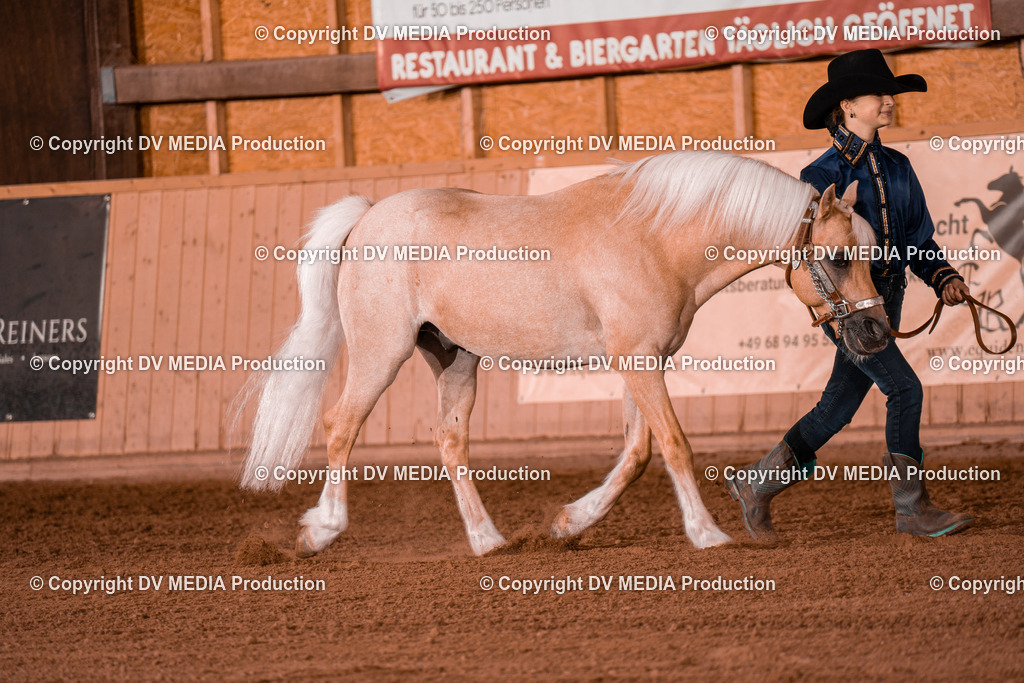 NE201526 | dv-media-shop - Realisiert mit Pictrs.com