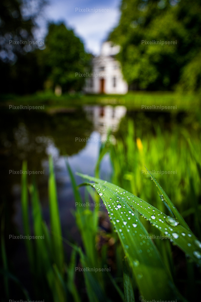 Hofgarten | Fotograf Tirol Imst Pixelknipserei - Realisiert mit Pictrs.com