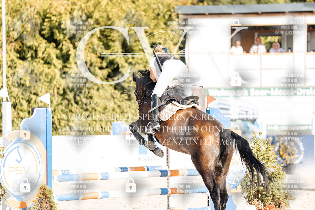 CK909514 | Turnierfotografie Pferdefotografie Trier Rheinland-Pfalz Pferdesport Reitsport Tierfotografie Sportfotografie Pferdevideo Pferdevideografie Equestrianvideography equestrianphotography  - Realisiert mit Pictrs.com