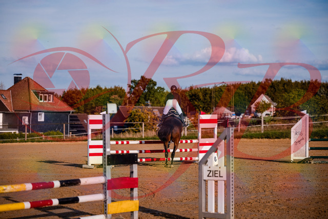 2026_10_03_Siefer-Hof_171039_Z81_07527891 | Professionelle Reitsport-, Turnier- und Eventfotografie von Robert Broda. Galerien mit ausgewählten und bearbeiteten Bildern direkt online ansehen und bestellen.