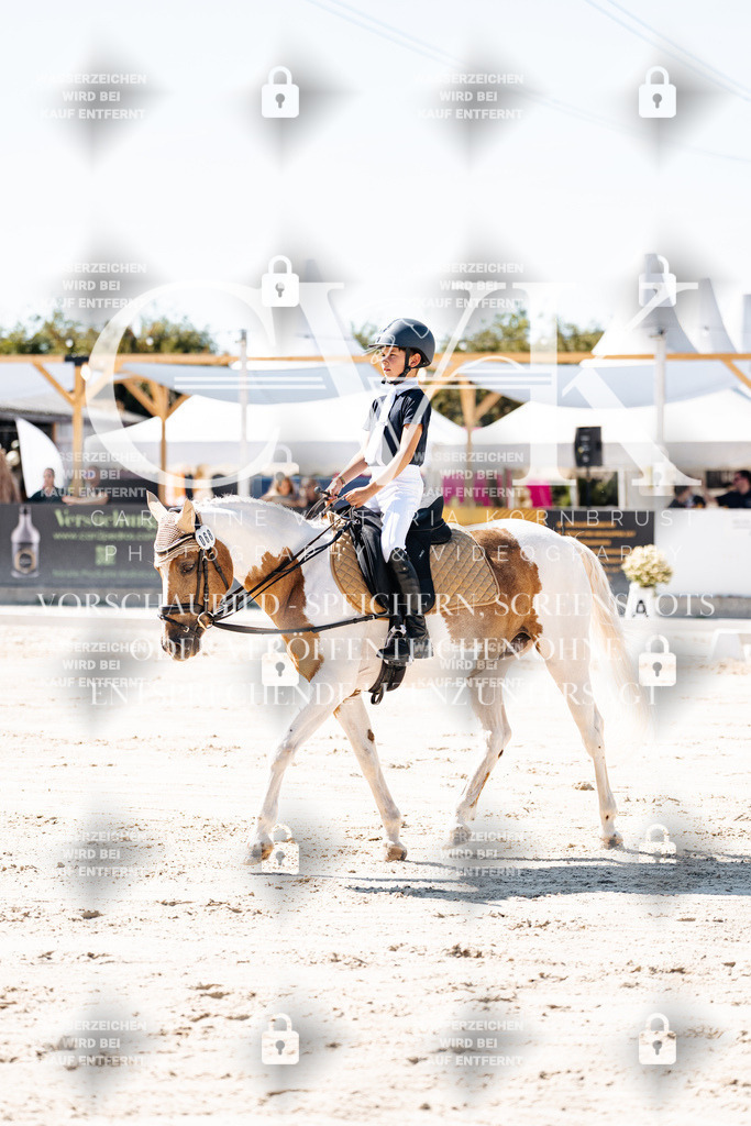 CK902448 | Turnierfotografie Pferdefotografie Trier Rheinland-Pfalz Pferdesport Reitsport Tierfotografie Sportfotografie Pferdevideo Pferdevideografie Equestrianvideography equestrianphotography  - Realisiert mit Pictrs.com
