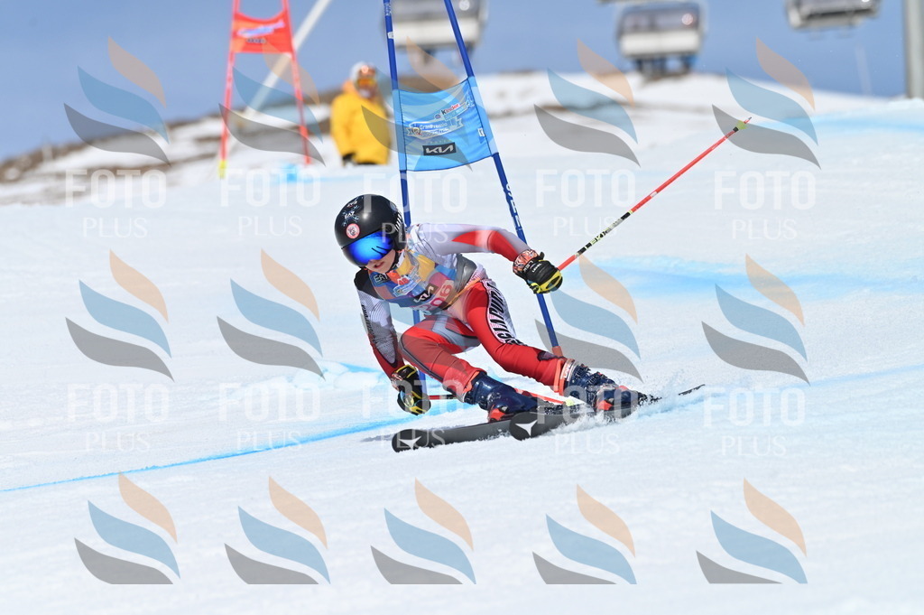 BGV_1077 | holidayphoto