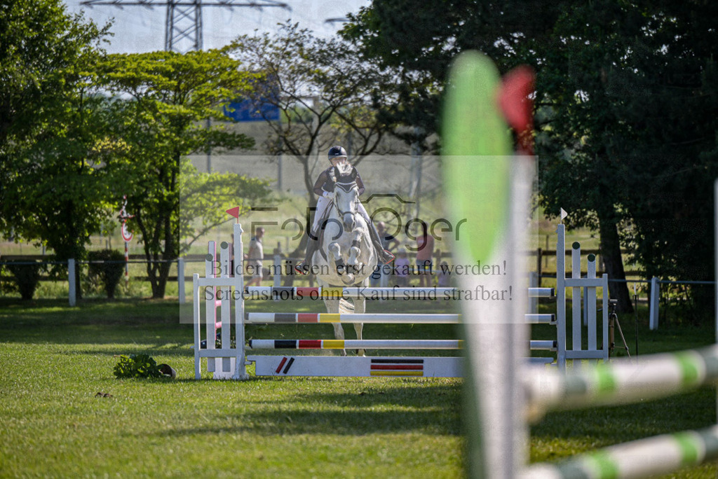 Reitturnier Voxtrup | Entdecke hochwertige Reitturnierfotos von Foto Oger. Professionell, emotional und authentisch – jetzt Lieblingsmomente im Shop bestellen.Deutschlandweite Turnierfotografie. - Realisiert mit Pictrs.com