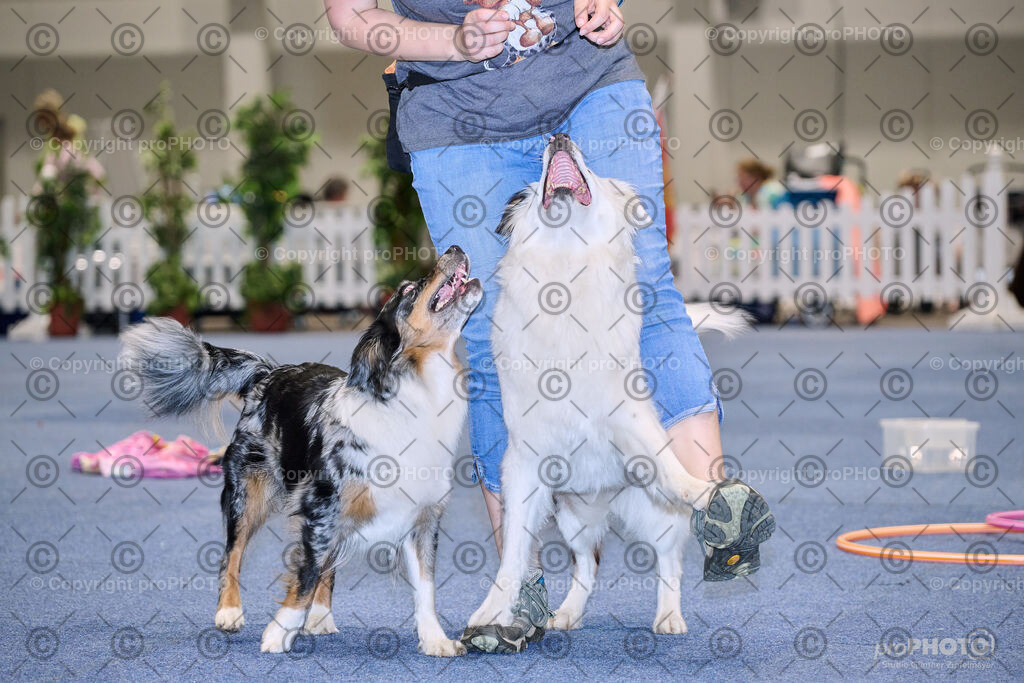 202406_ÖKV-IHA-Tulln24_NZ9_7714 | proPHOTO - Realisiert mit Pictrs.com