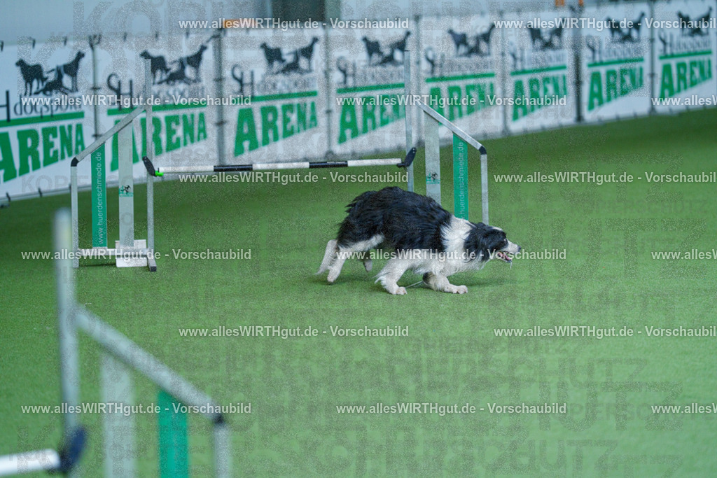 @allesWIRTHgut_Tierfotografie - www.allesWIRTHgut.de - 2604261347-7R502684 | Professionelle Tierfotografie in Mönchengladbach von Daniel Wirth (allesWIRTHgut). Liebevolle & natürliche Bilder von Hunden & Katzen für unvergessliche Erinnerungen.