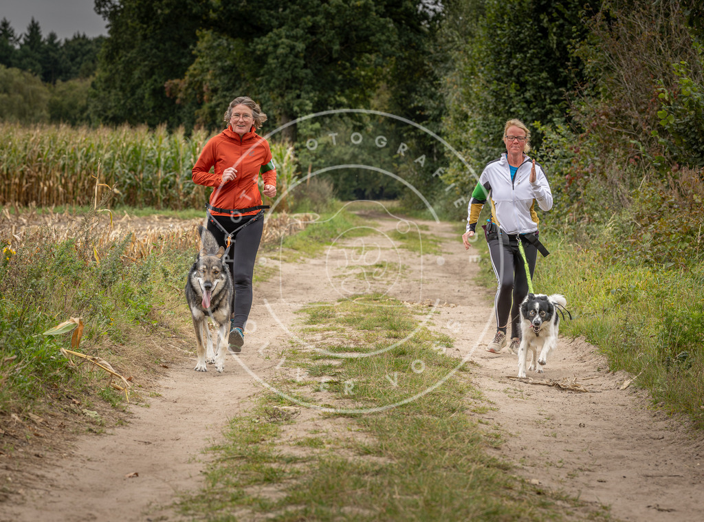 Pfotenfotografie_DV3A6843 | Hundefotografie, Tierfotograf, Pfotenfotografie, Fotoshooting Hund, Hunde Portrait, Hundesport, Hundeportraits, Heideshooting, Hunde, Sportfotograf, Hundefotograf, Turnierhundsport, THS,  - Realisiert mit Pictrs.com