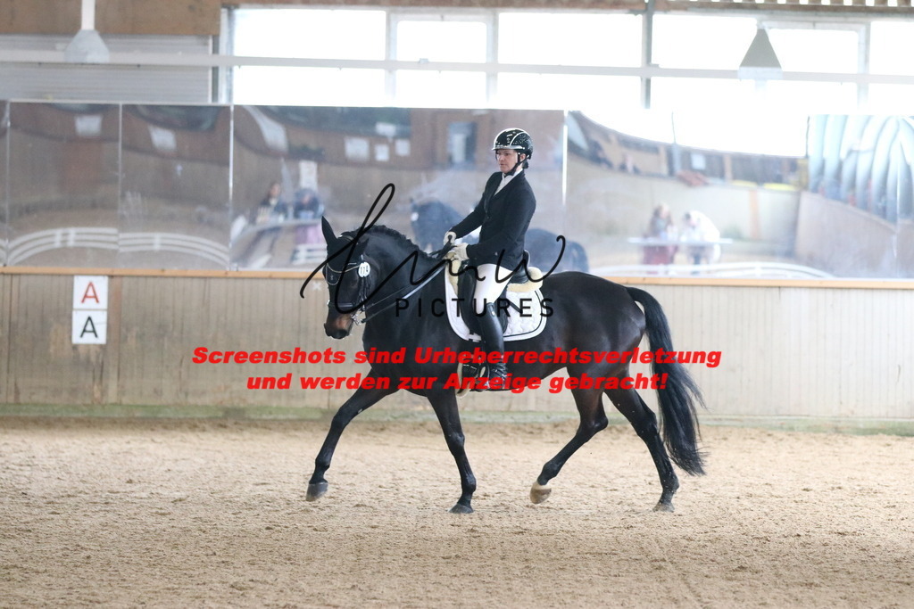 IMG_9772 | lmwpictures - Realisiert mit Pictrs.com