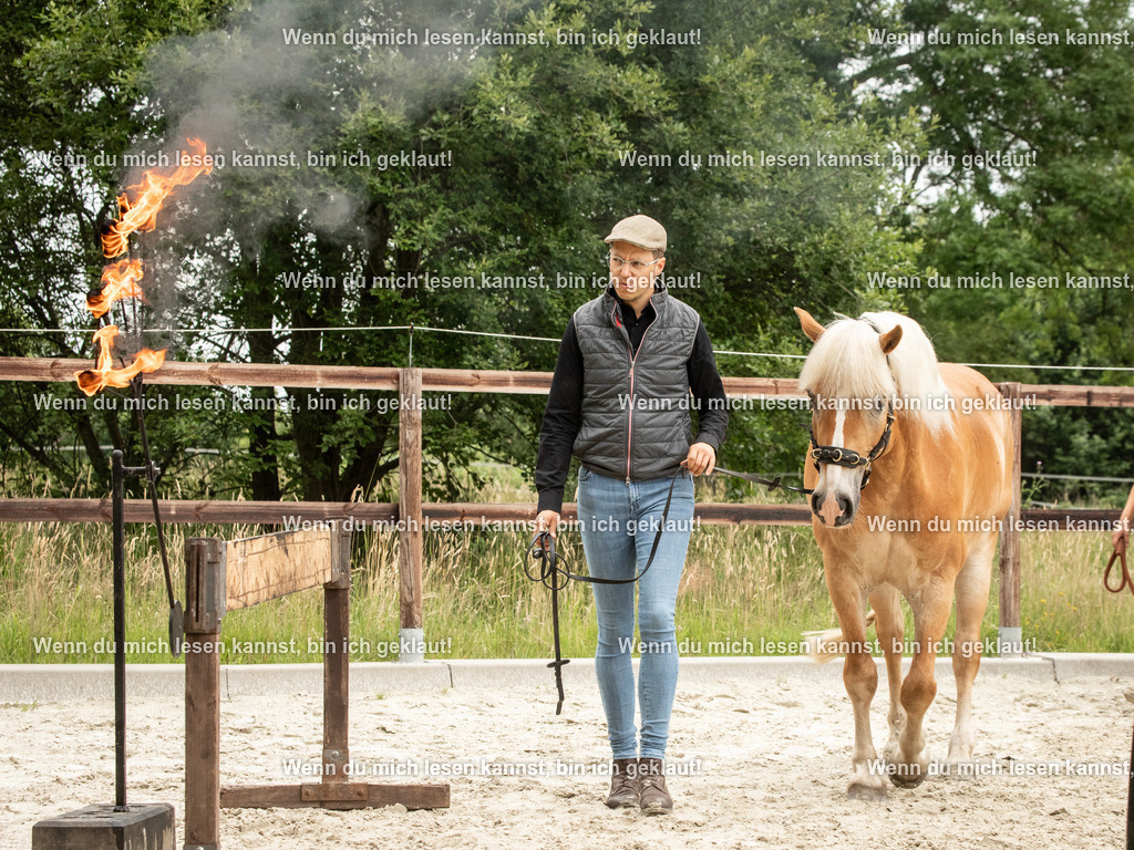 598A6808 | photographylinaismer - Realisiert mit Pictrs.com