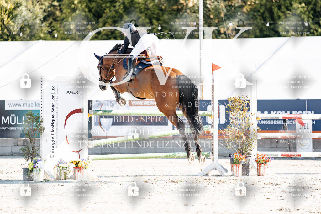CK901725 | Turnierfotografie Pferdefotografie Trier Rheinland-Pfalz Pferdesport Reitsport Tierfotografie Sportfotografie Pferdevideo Pferdevideografie Equestrianvideography equestrianphotography  - Realisiert mit Pictrs.com