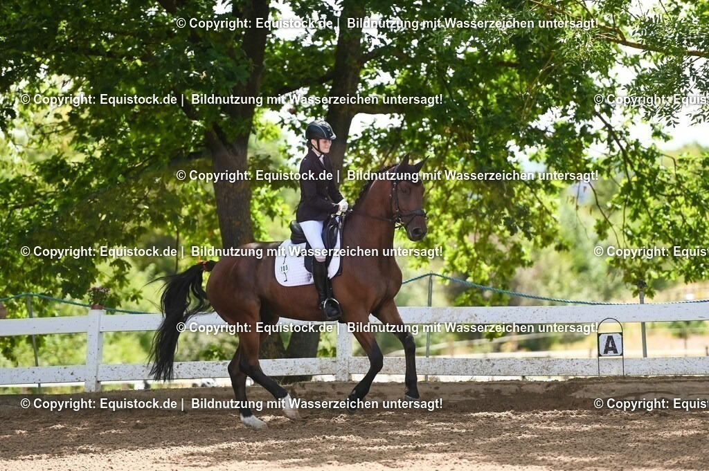 20230716_03_Dressurprfg. Kl.L - Tr._0062 | equistock